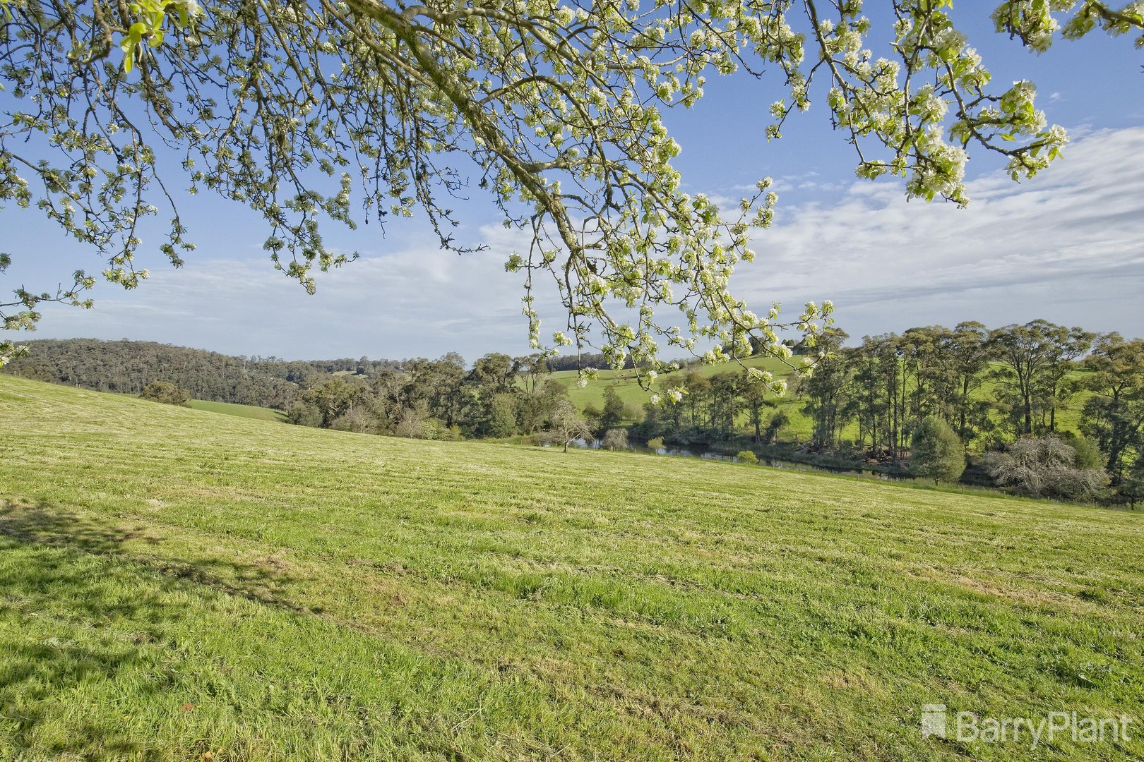 16 Mount Burnett Road, Mount Burnett, VIC 3781, Mount Burnett - Thumbnail 6