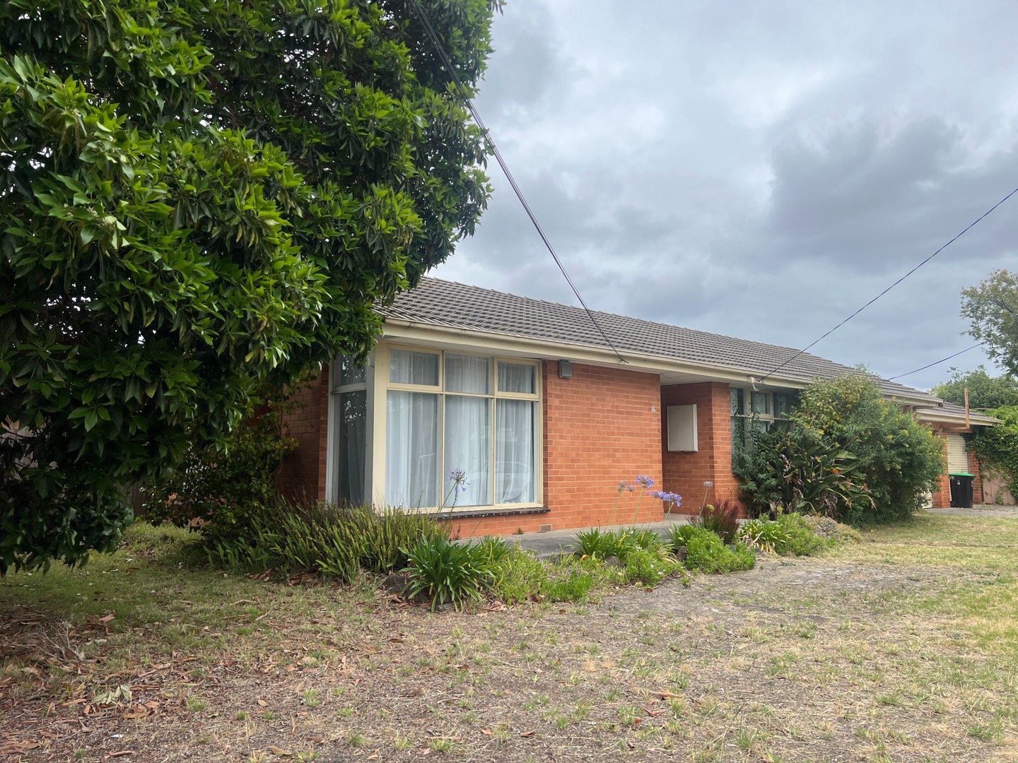 16 Pauline Av, Dingley Village, VIC 3172, Dingley Village - Thumbnail 2