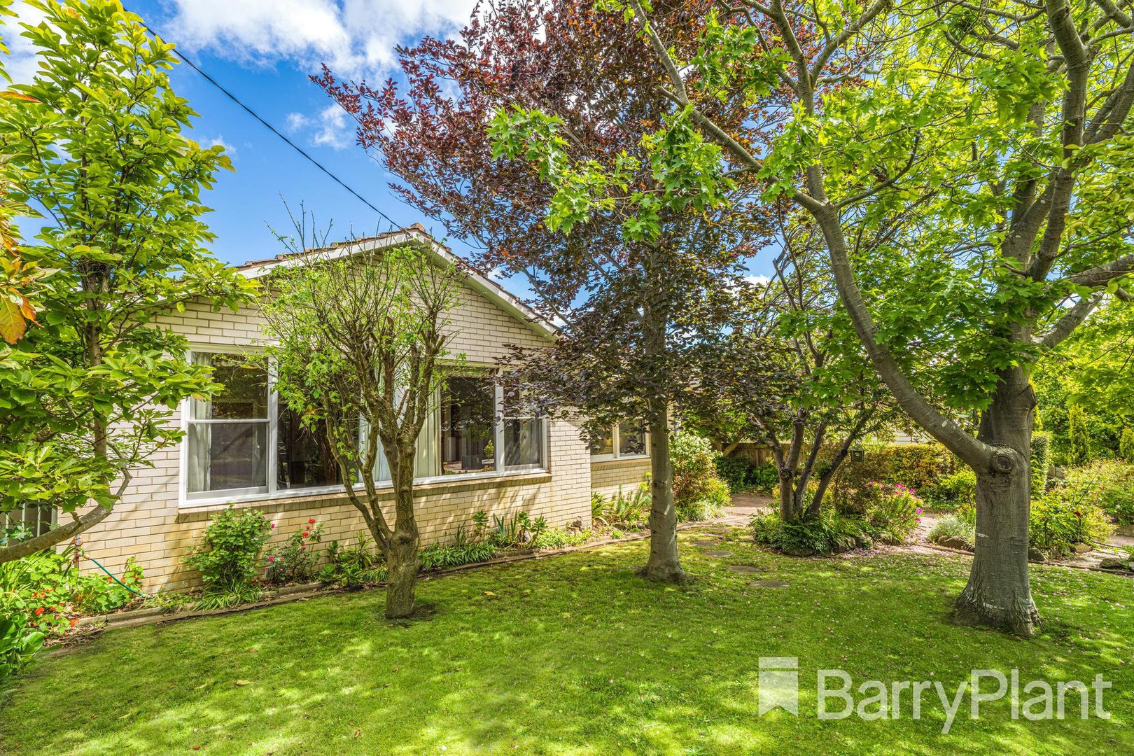 16 Roberts RoadBelmont, VIC 3216, Belmont - Thumbnail 2