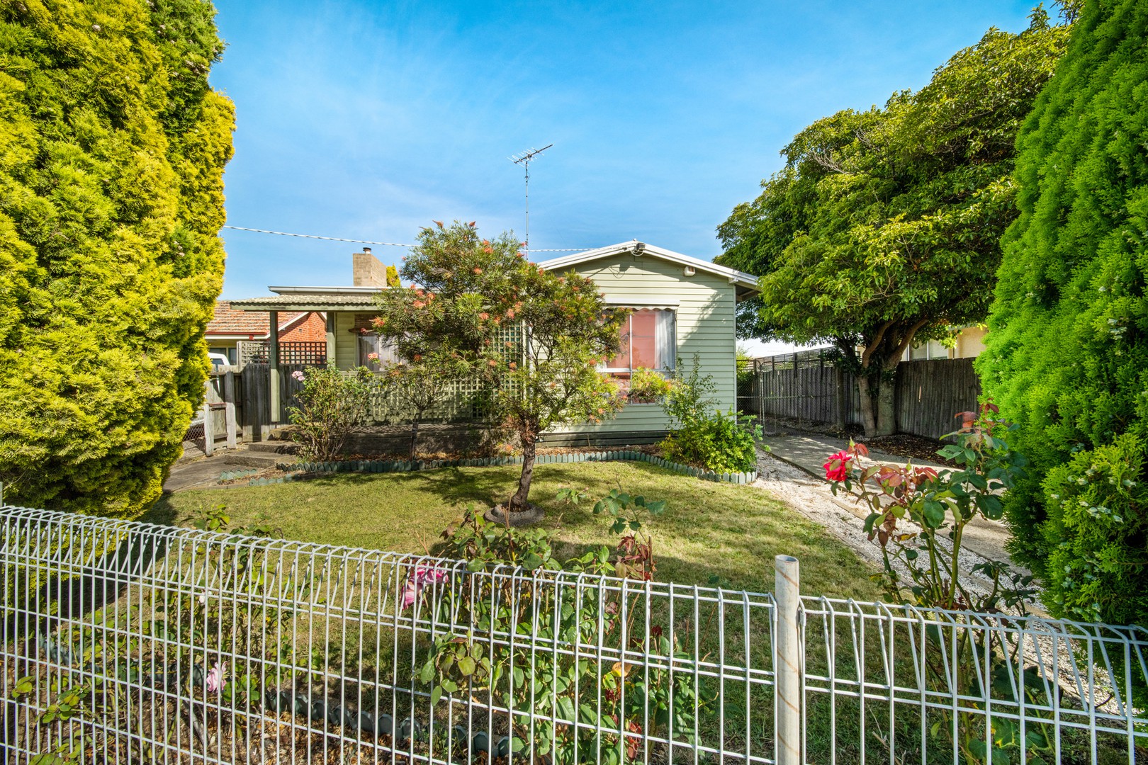 16 Rosella Court, Norlane, VIC 3214, Norlane - Thumbnail 2