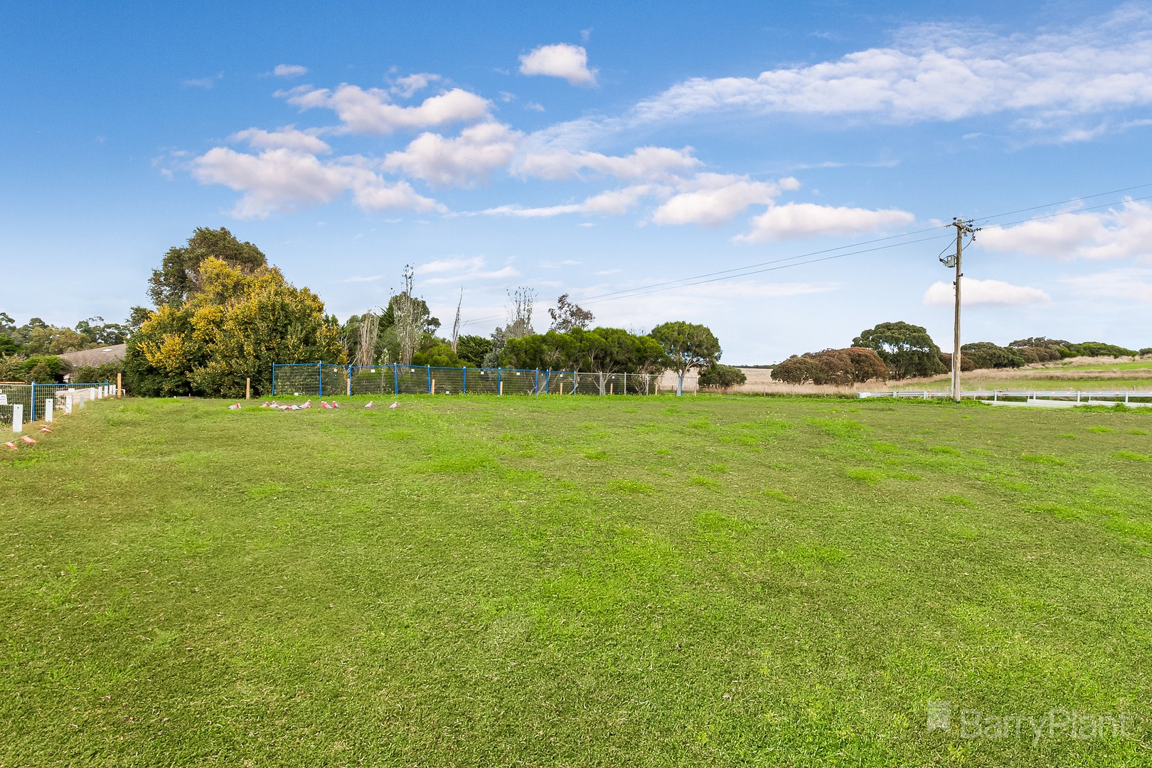 16 Royal Spoonbill Loop, Wallan, VIC 3756, Wallan - Thumbnail 4