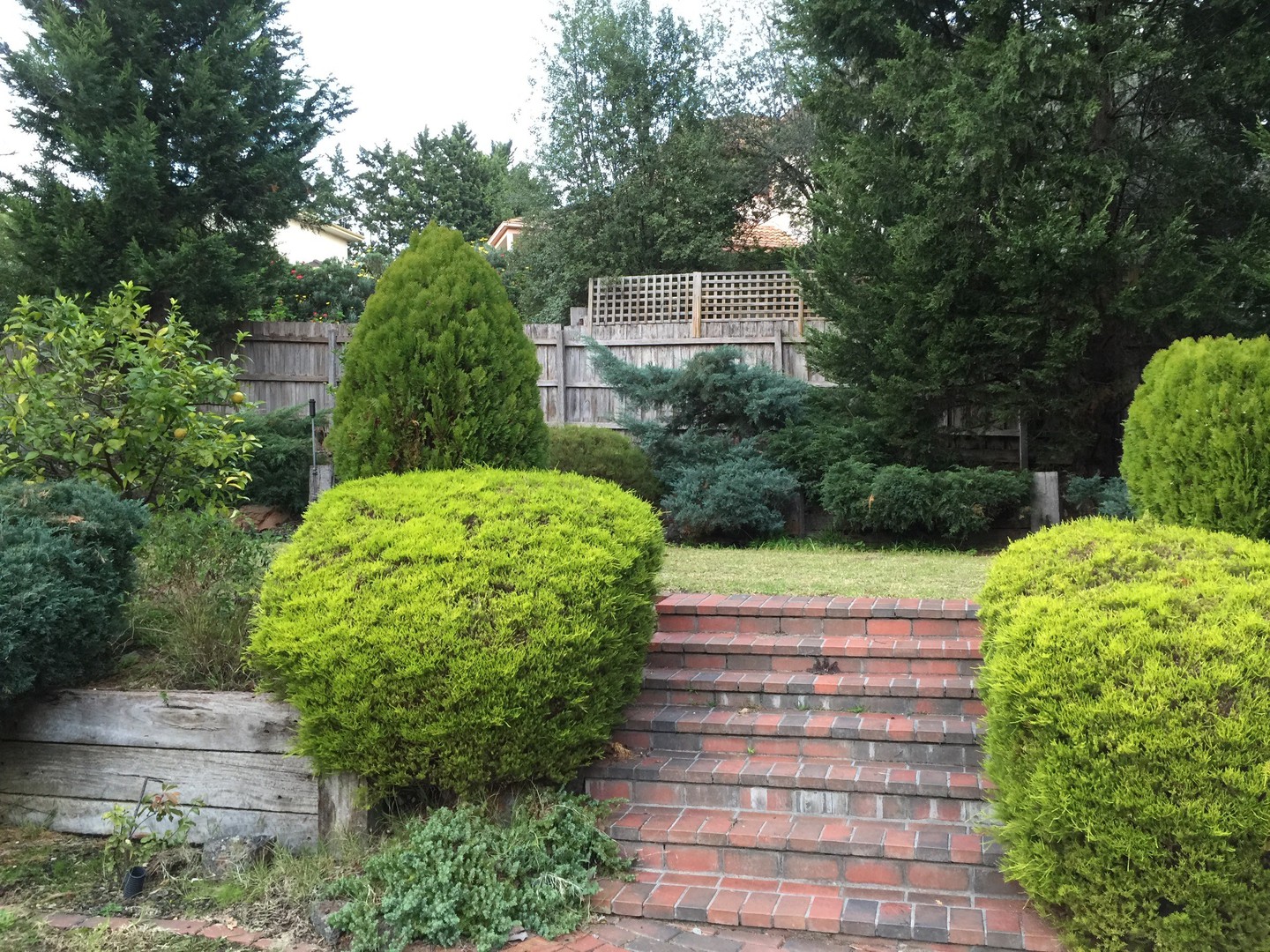 16 Schafter Drive, Doncaster East, VIC 3109, Doncaster East - Thumbnail 3
