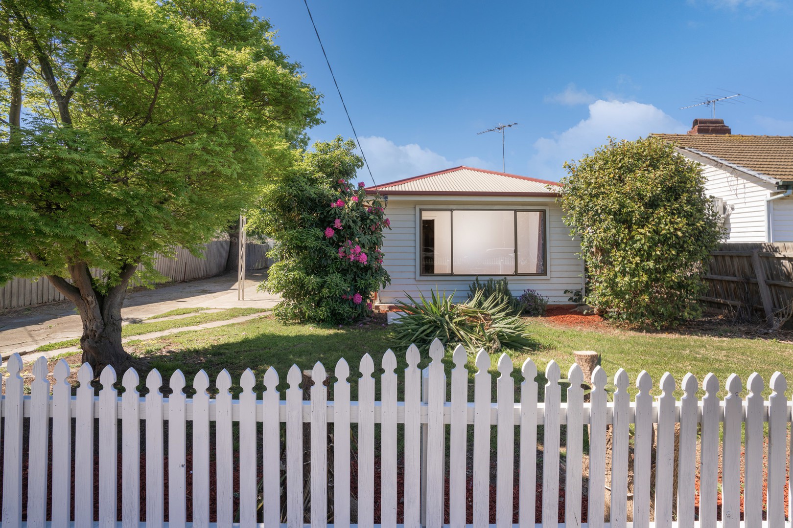 16 Seaforth StreetNorth Shore, VIC 3214, North Shore - Thumbnail 4
