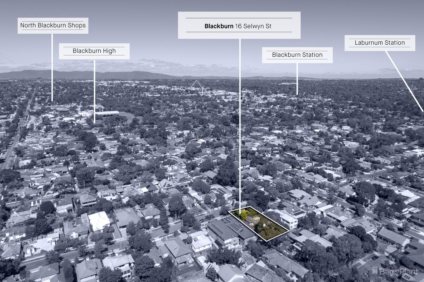 16 Selwyn Street, Blackburn, VIC 3130, Blackburn - Thumbnail 3