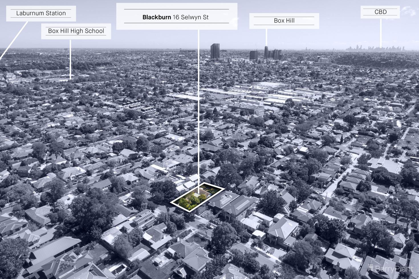 16 Selwyn Street, Blackburn, VIC 3130, Blackburn - Thumbnail 4