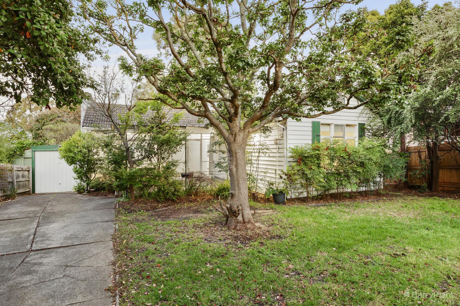 16 Selwyn Street, Blackburn, VIC 3130, Blackburn - Thumbnail 5