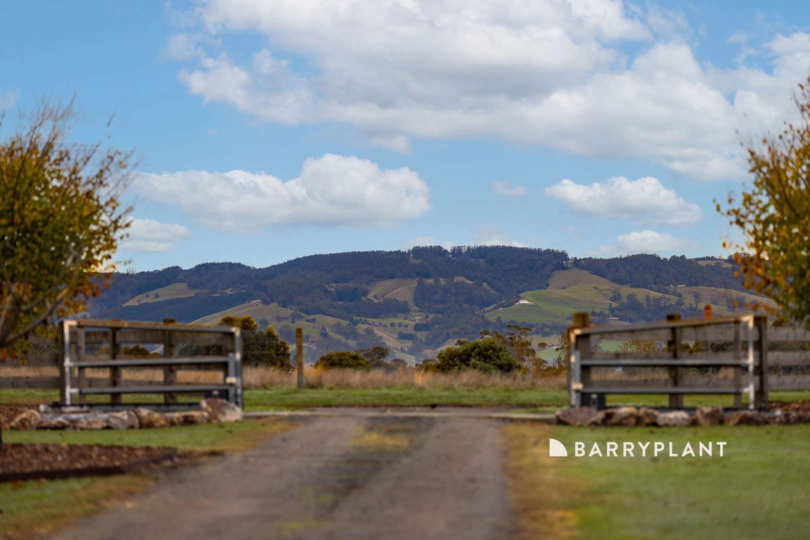 16 Shearmans Road, Darnum, VIC 3822, Darnum - Thumbnail 6