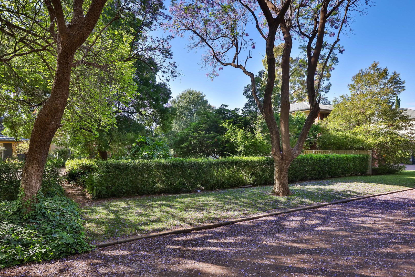 16 Wingillie Street, Mildura, VIC 3500, Mildura - Thumbnail 2
