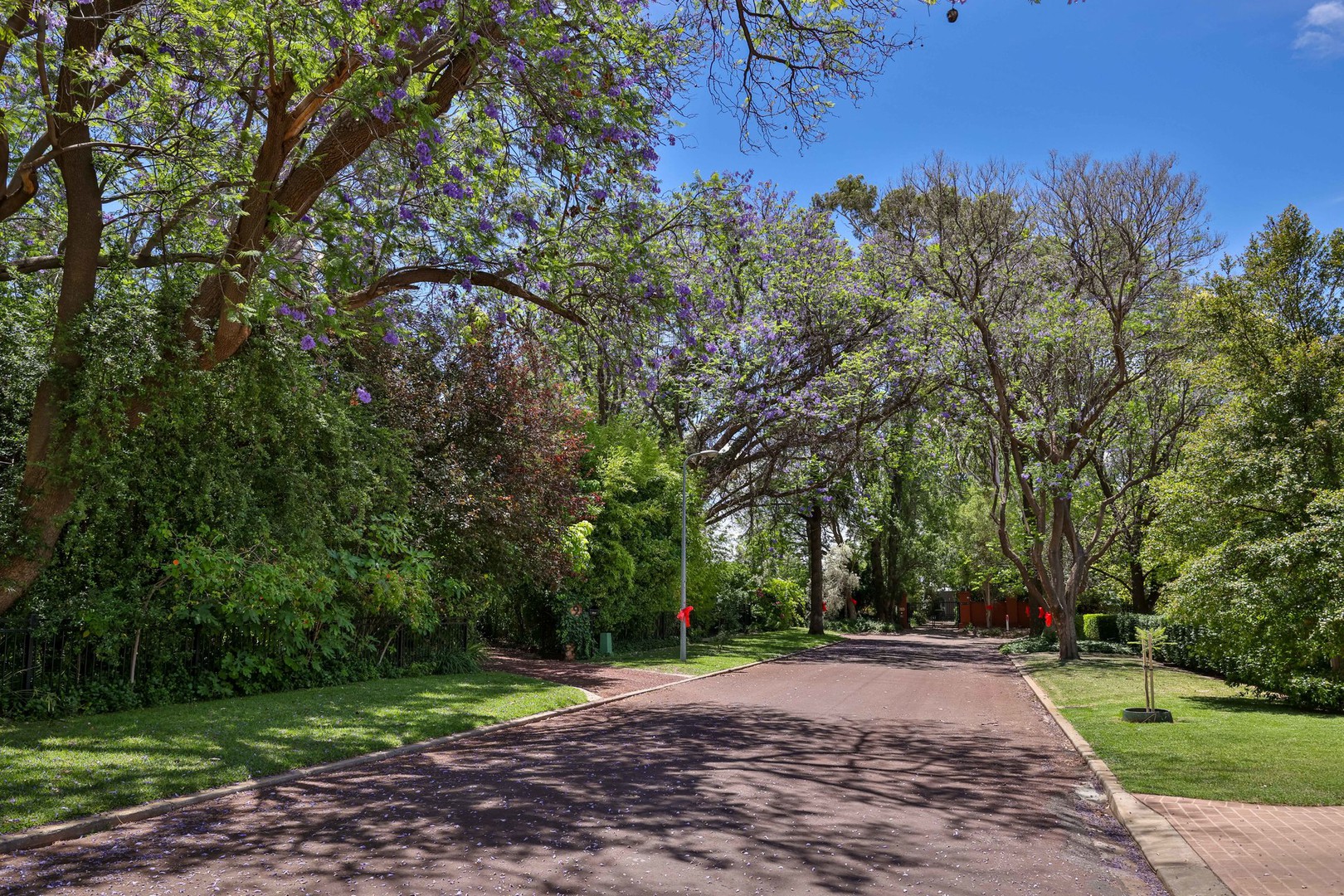 16 Wingillie Street, Mildura, VIC 3500 - Thumbnail 1 - 11/08/2025