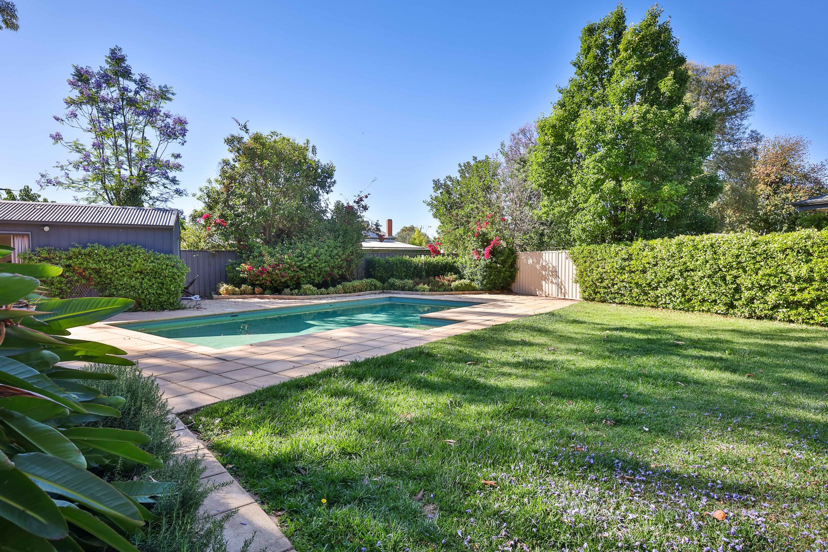 16 Wingillie Street, Mildura, VIC 3500, Mildura - Thumbnail 6