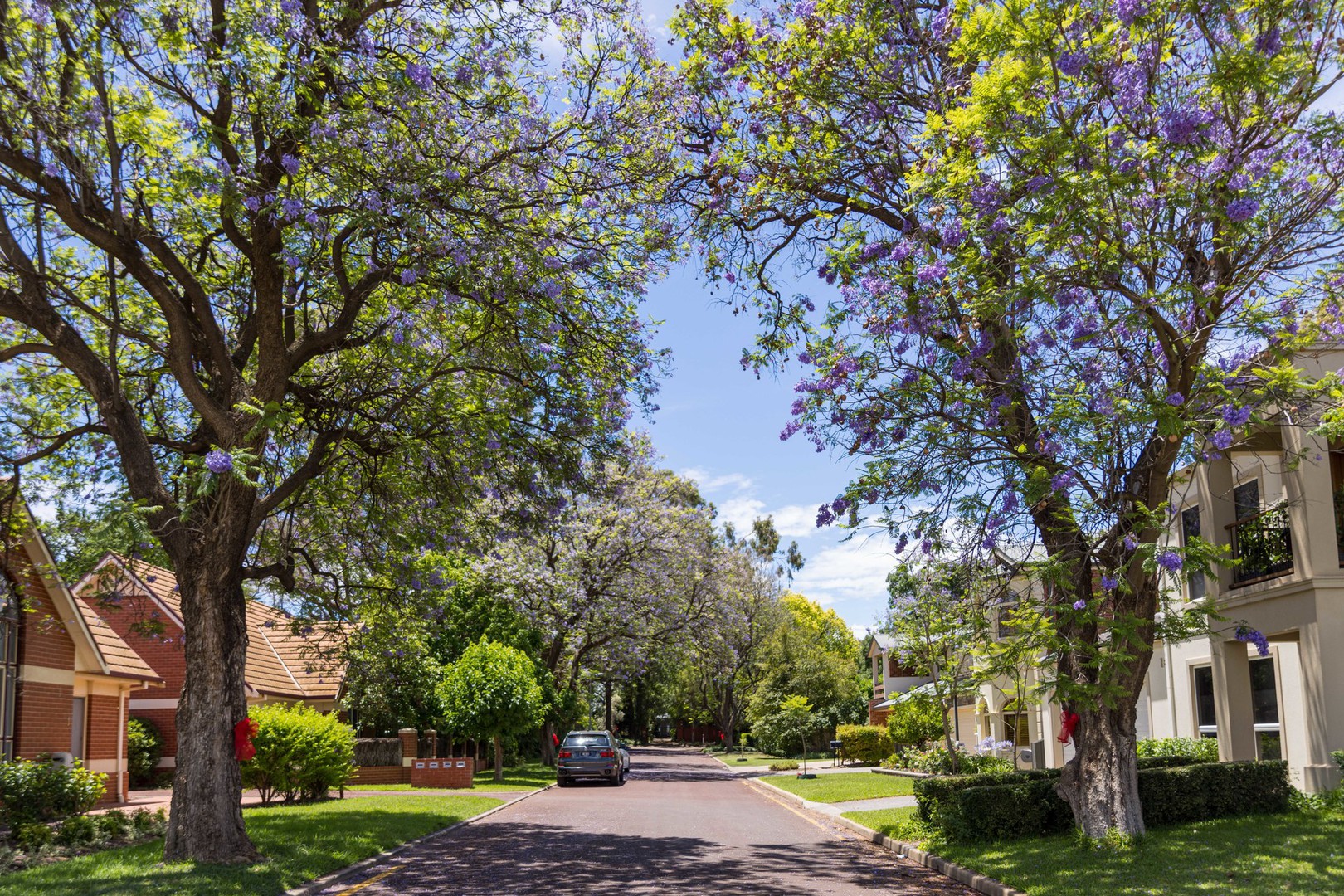 16 Wingillie Street, Mildura, VIC 3500, Mildura - Thumbnail 8