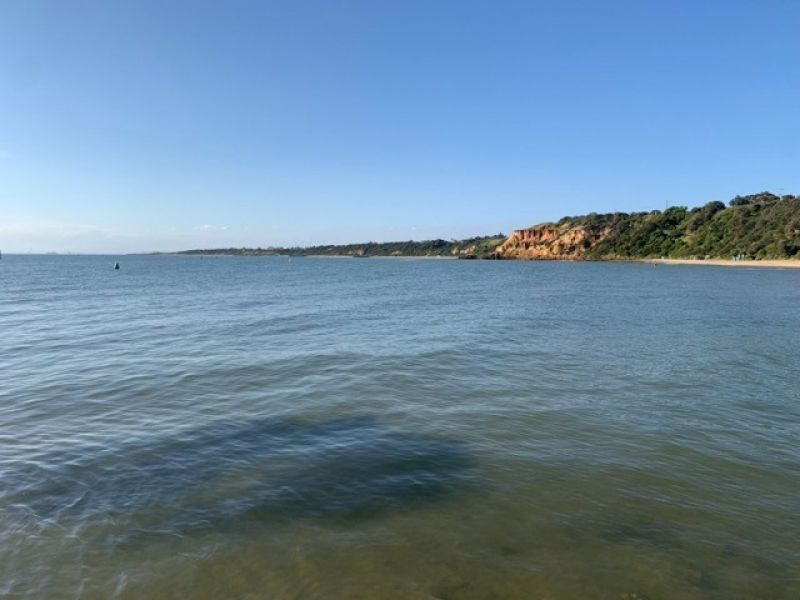 160 Weatherall Rd, Cheltenham, VIC 3193, Cheltenham - Thumbnail 8