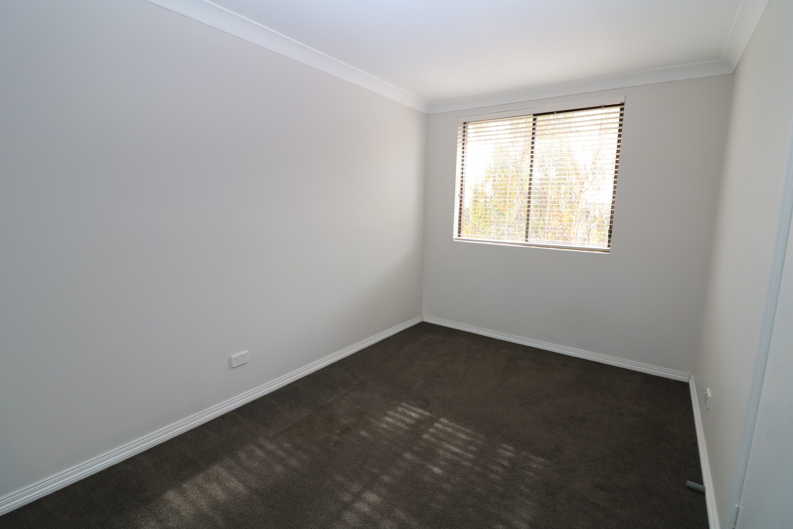 161 Corio Street, Geelong, VIC 3220, Geelong - Thumbnail 8