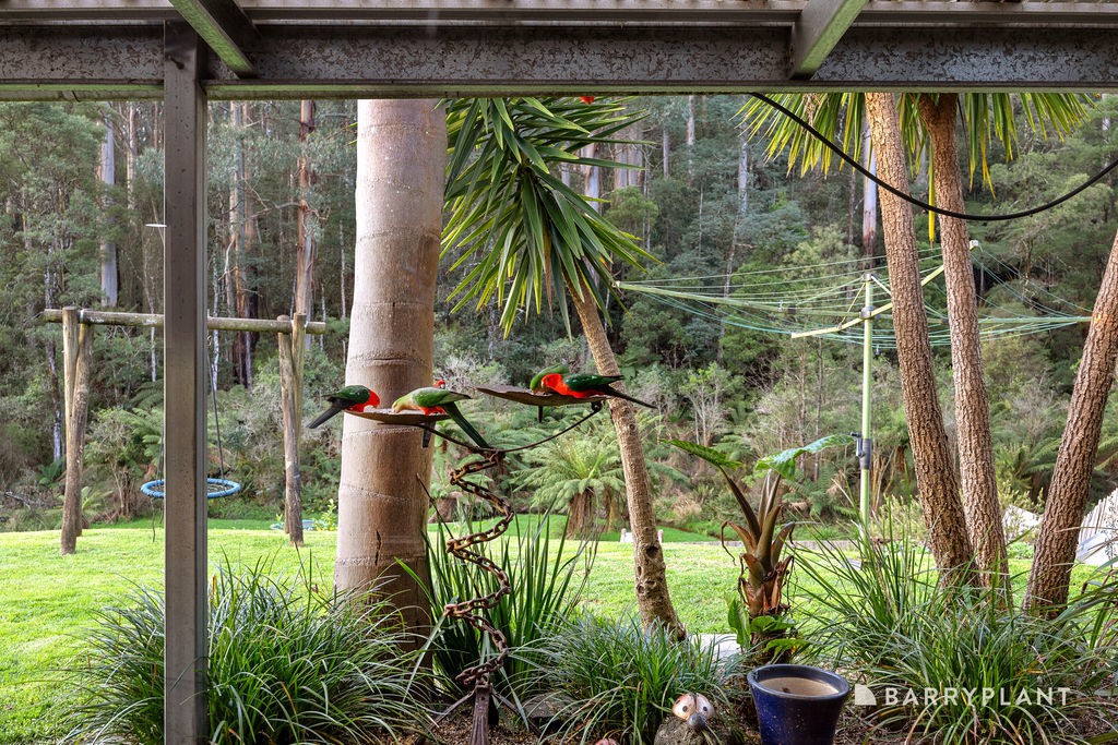 1621 Little Yarra Road, Powelltown, VIC 3797, Powelltown - Thumbnail 5