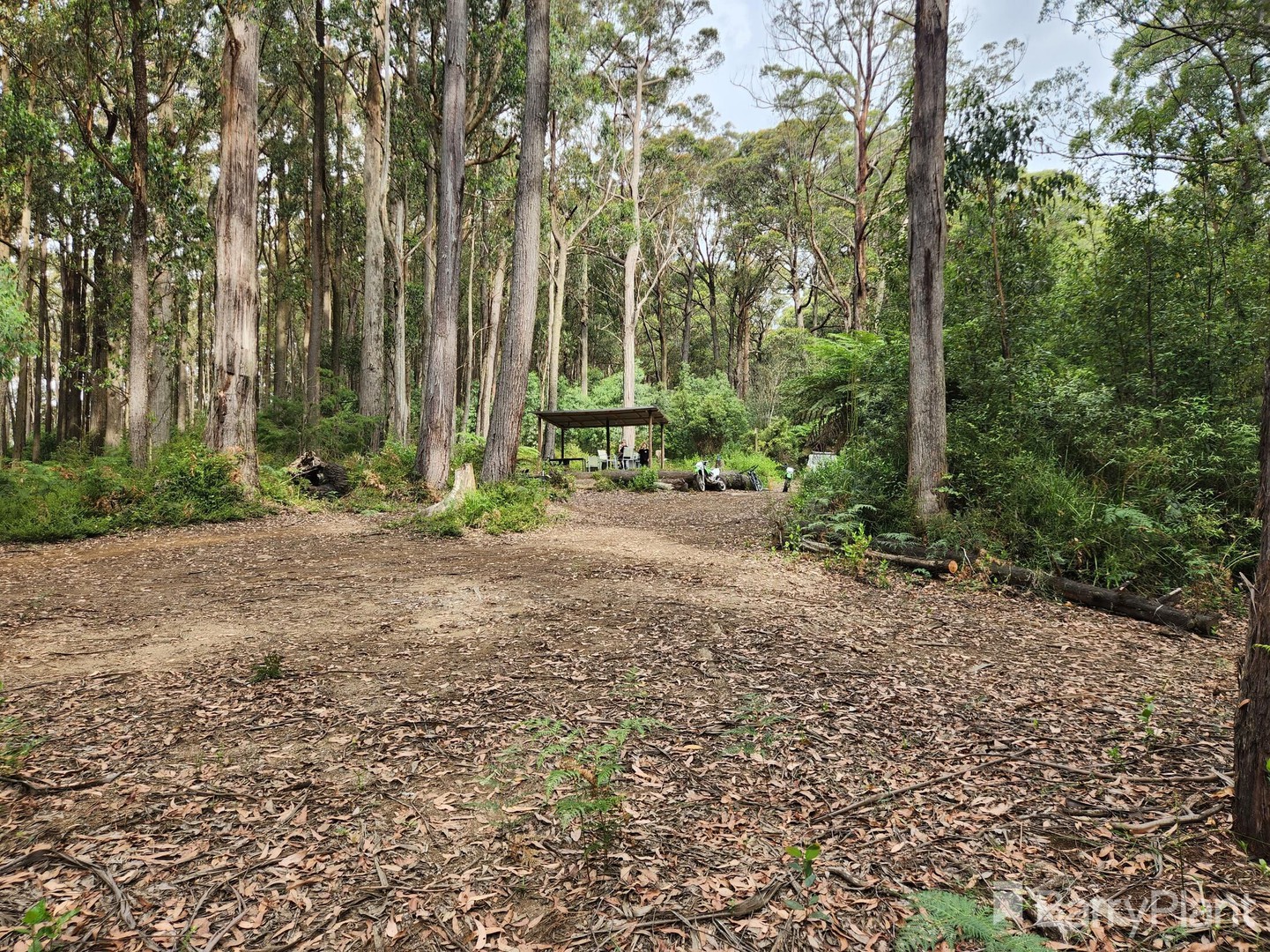 1650 East Beenak Road, Beenak, VIC 3139, Beenak - Thumbnail 8