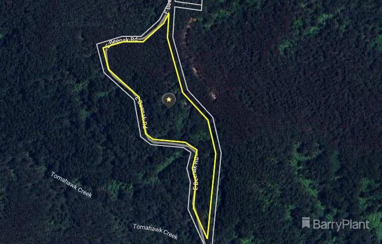 1650 East Beenak Road, Beenak, VIC 3139, Beenak - Thumbnail 7