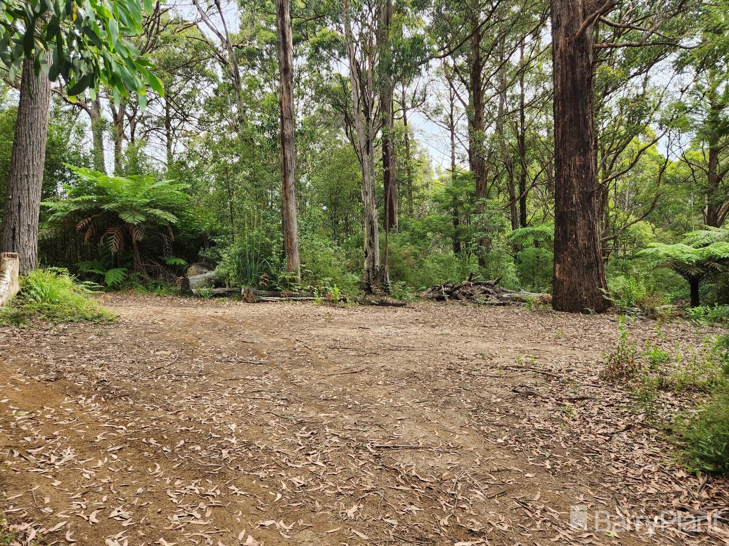 1650 East Beenak Road, Beenak, VIC 3139, Beenak - Thumbnail 3