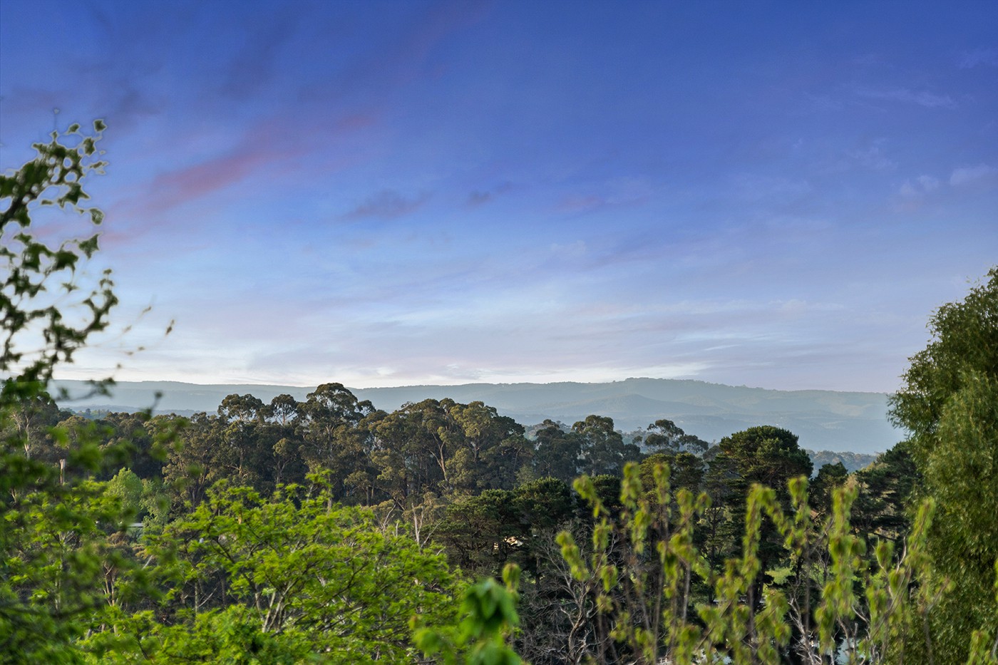 169 Monbulk Road, Silvan, VIC 3795 - Thumbnail 2 - 26/10/2023