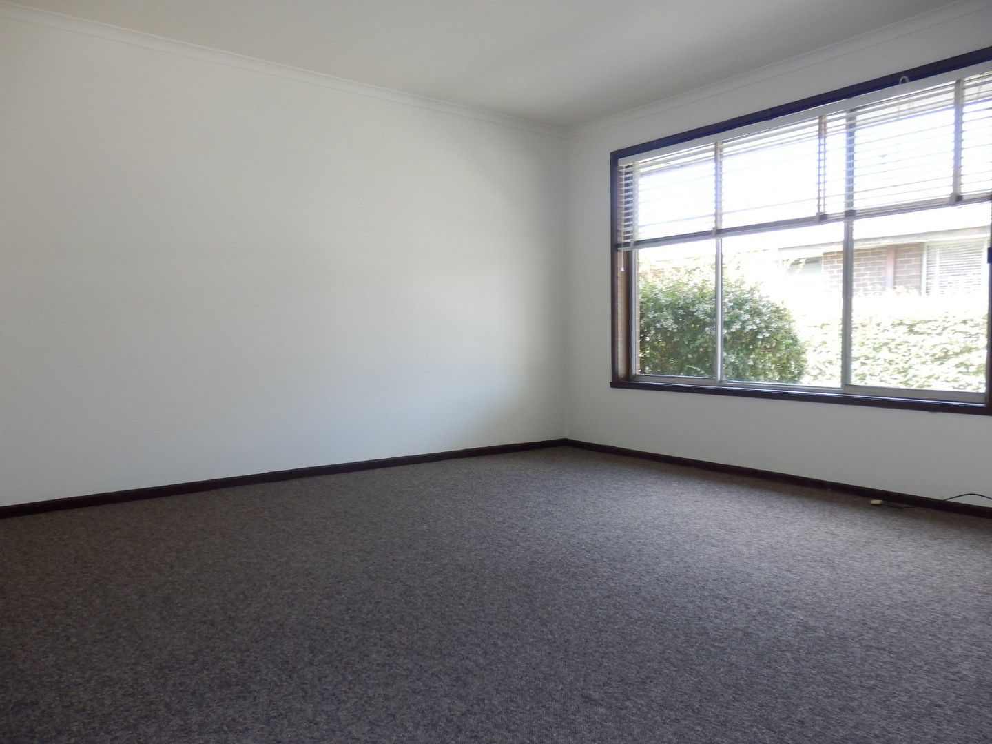 17/35-47 Burnt Street, Nunawading, VIC 3131, Nunawading - Thumbnail 3