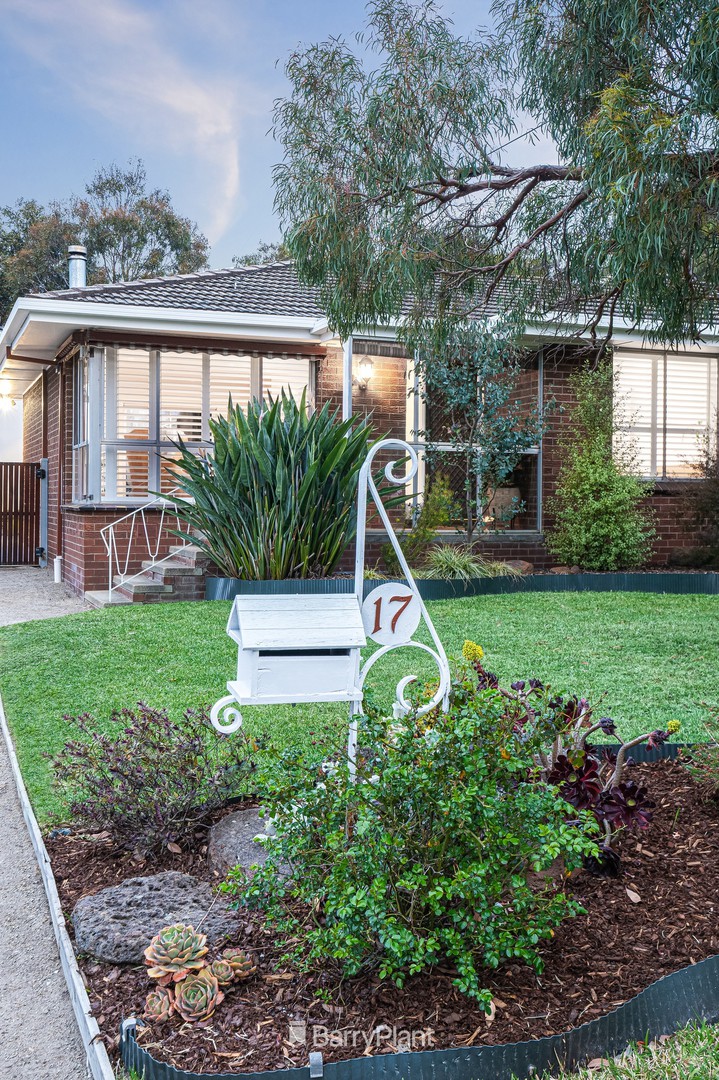 17 Amoore Avenue, Highton, VIC 3216, Highton - Thumbnail 3