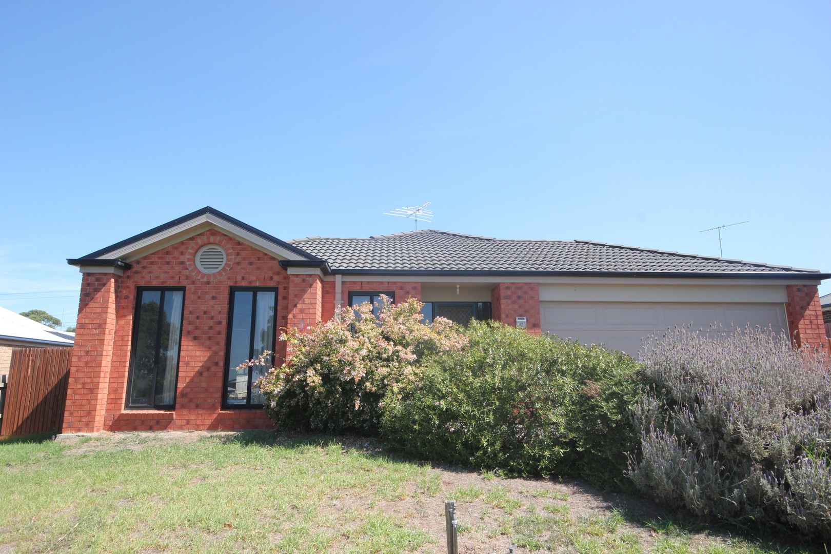 17 Daly Boulevard, Highton, VIC 3216, Highton - Thumbnail 4