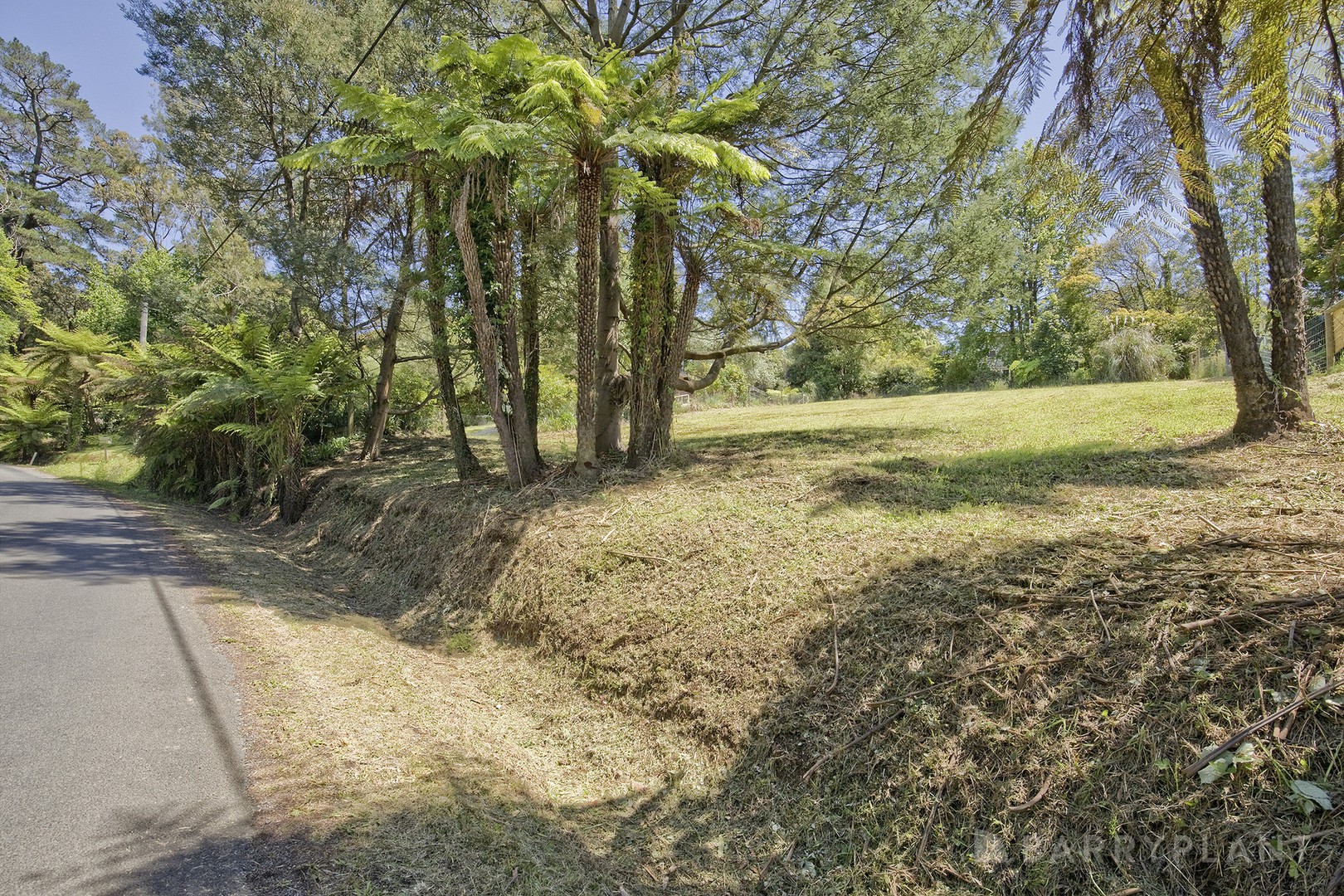 17 Emerald Lake Road, Emerald, VIC 3782, Emerald - Thumbnail 6