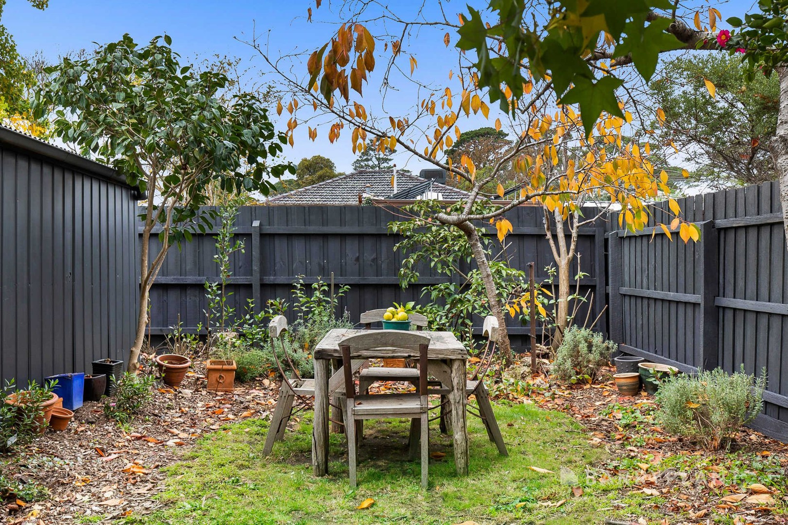 17 Longley St, Alfredton, VIC 3350, Alfredton - Thumbnail 4