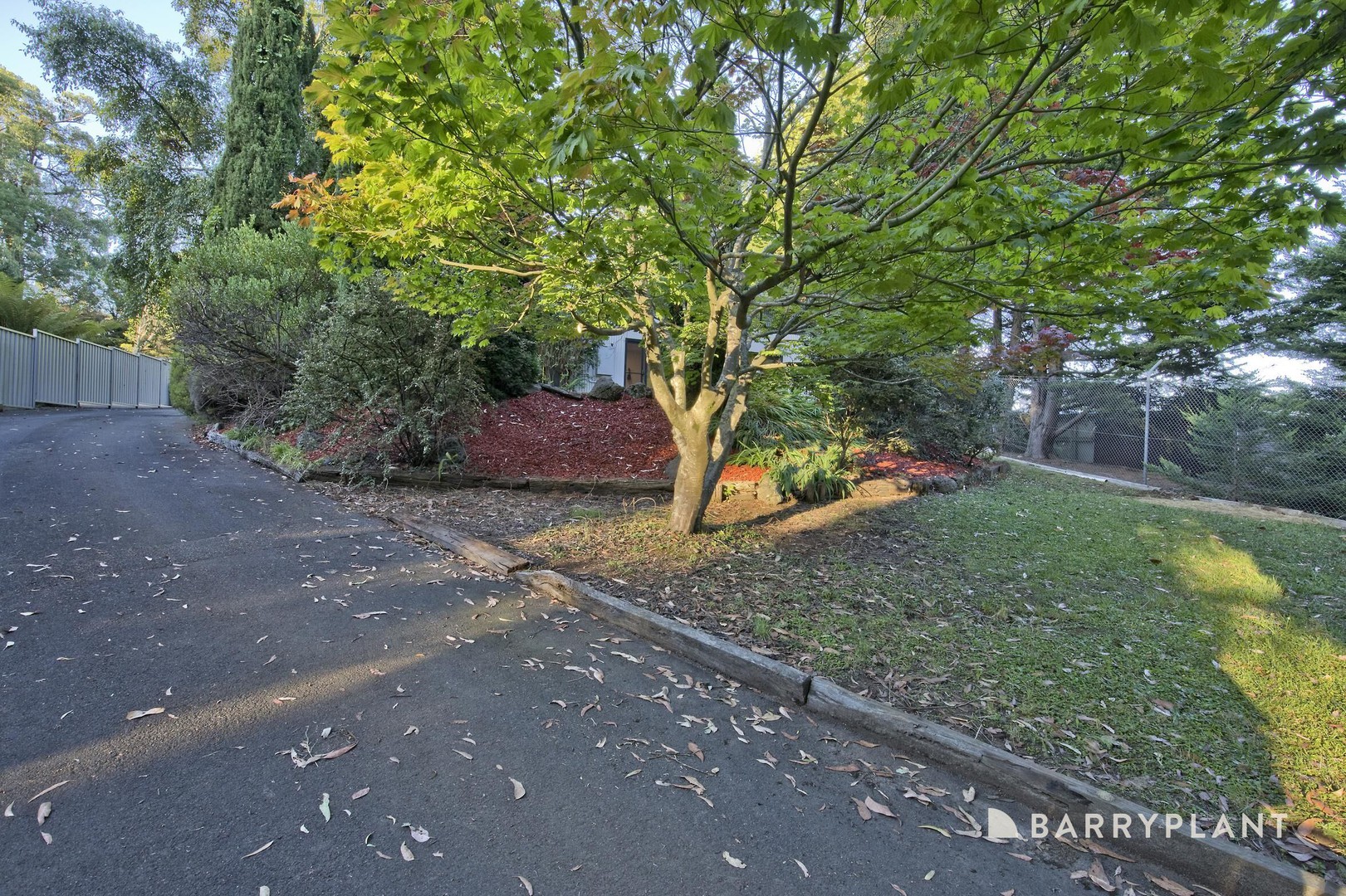 17 Phillip Road, Avonsleigh, VIC 3782, Avonsleigh - Thumbnail 3