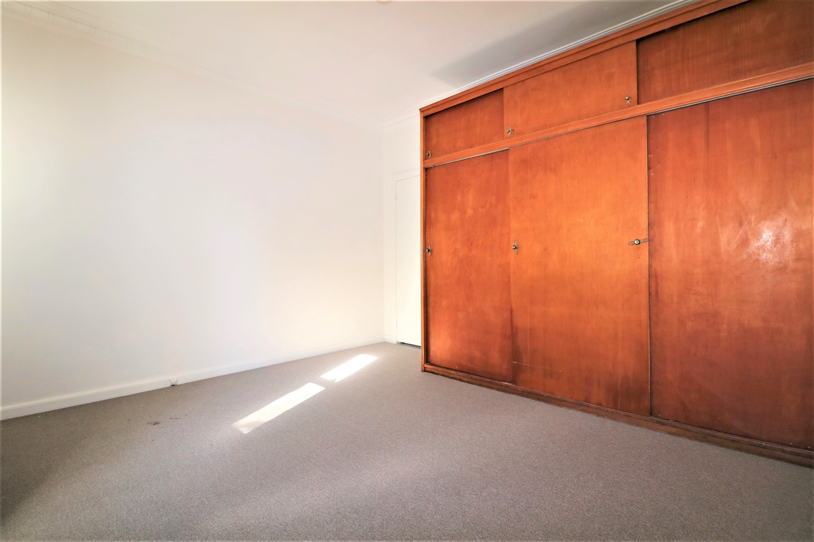 17 Vista Road, Newtown, VIC 3220, Newtown - Thumbnail 6