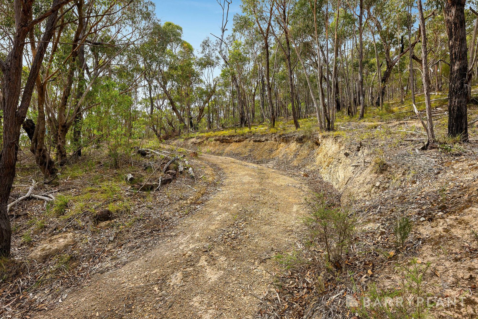 175 Old Kinglake Road, Steels Creek, VIC 3775 - Thumbnail 2 - 22/01/2025