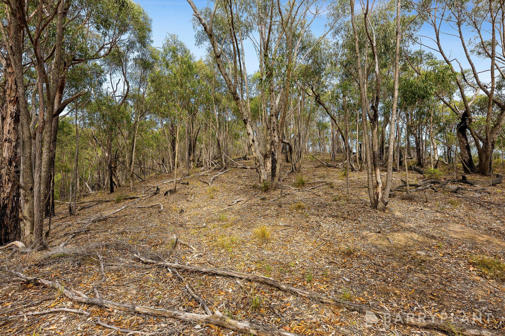 175 Old Kinglake Road, Steels Creek, VIC 3775, Steels Creek - Thumbnail 4