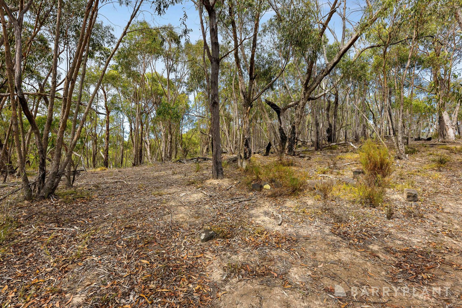 175 Old Kinglake Road, Steels Creek, VIC 3775, Steels Creek - Thumbnail 5