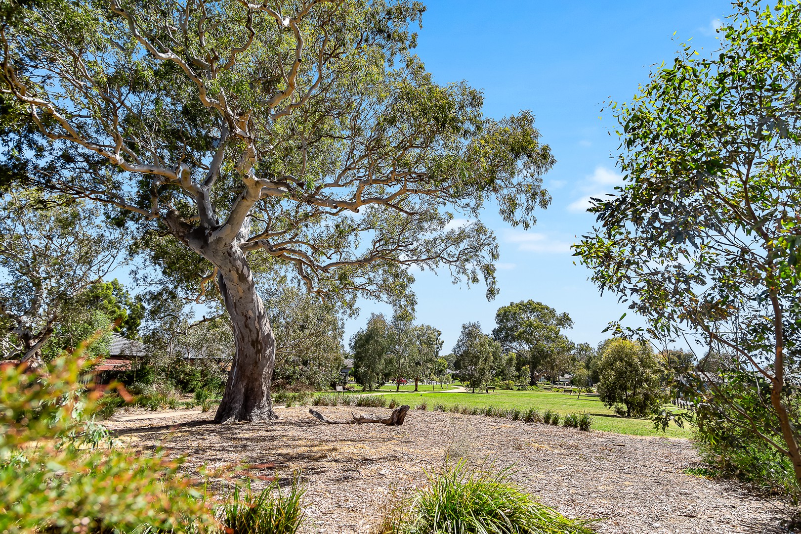 18 Falkirk DriveMernda, VIC 3754  - Leased, Mernda - Thumbnail 6