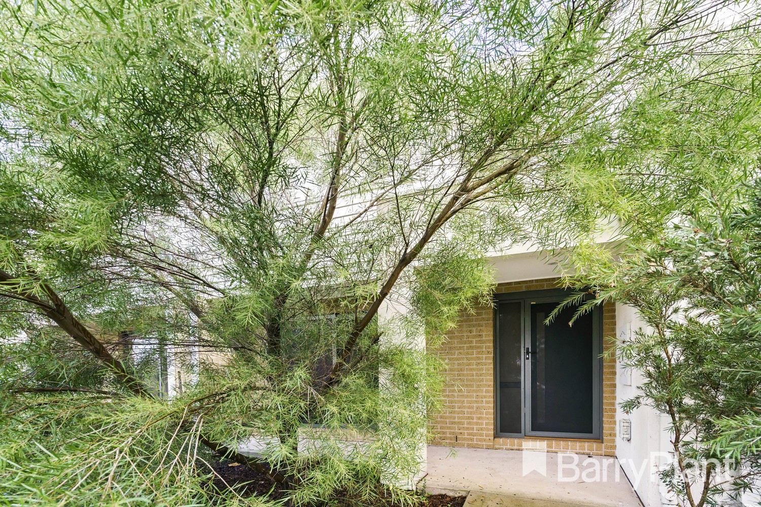 18 Mc Connell Street, Sunshine West, VIC 3020, Sunshine West - Thumbnail 2