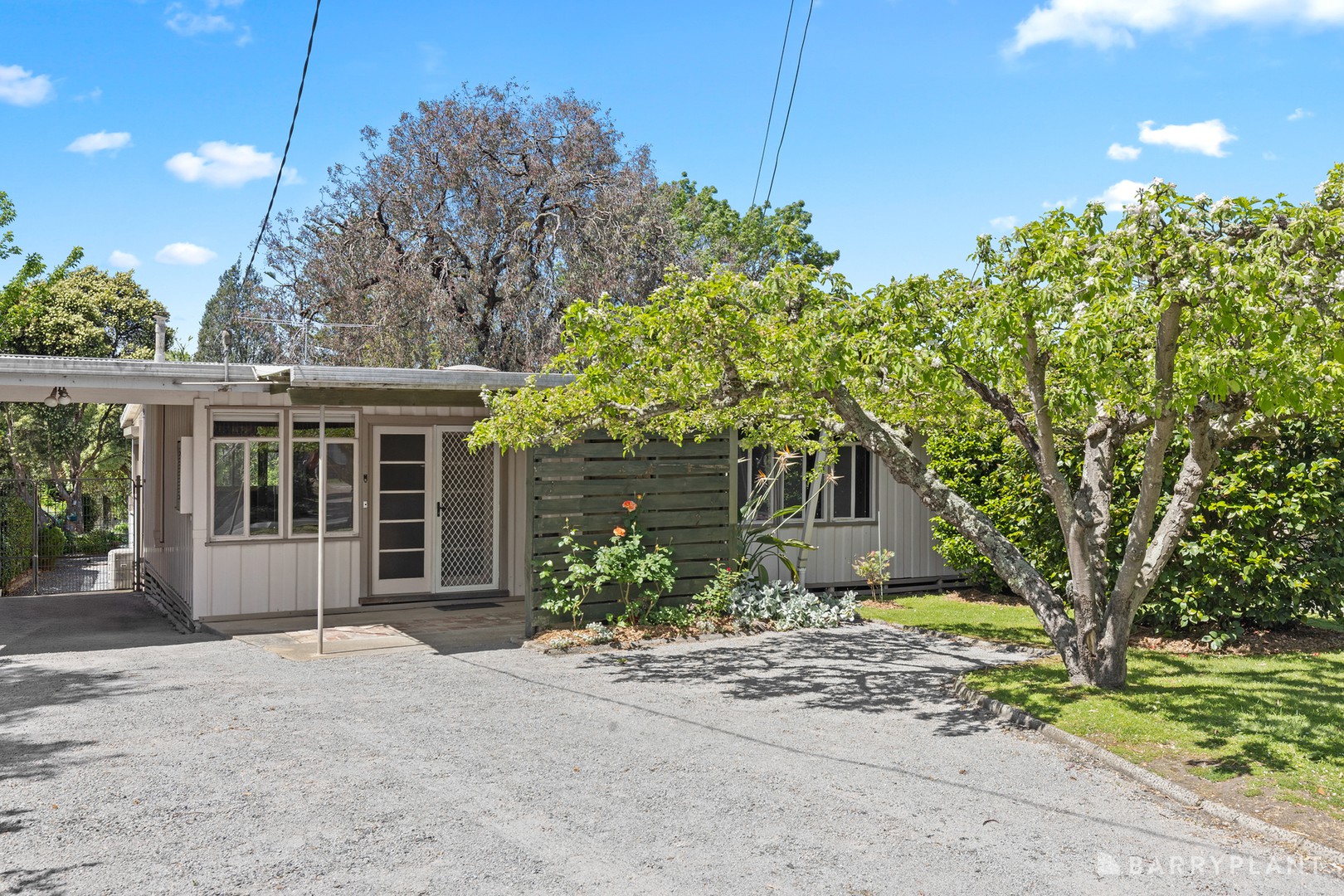18 Pinewood Street, Ringwood East - Image 1
