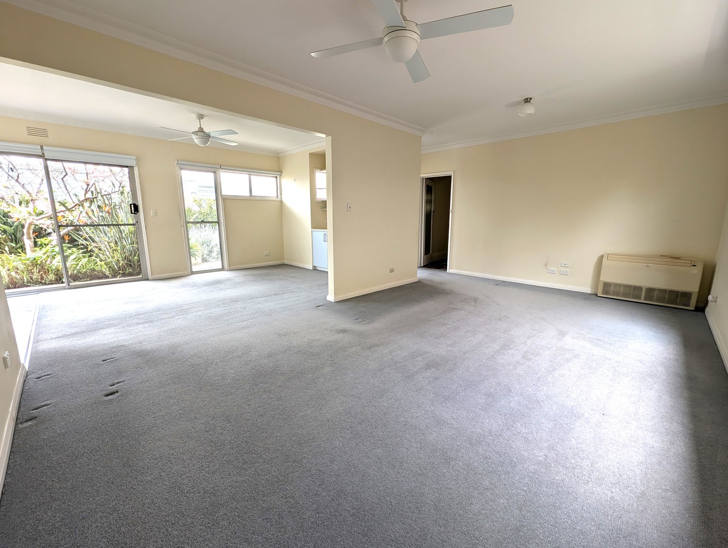 18 Virginia Street, Newtown, VIC 3220, Newtown - Thumbnail 4