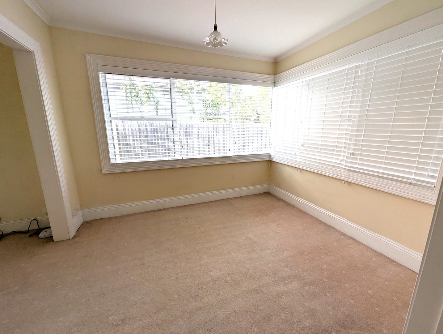18 Virginia Street, Newtown, VIC 3220, Newtown - Thumbnail 6