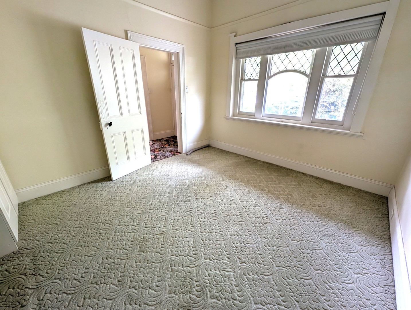 18 Virginia Street, Newtown, VIC 3220, Newtown - Thumbnail 7