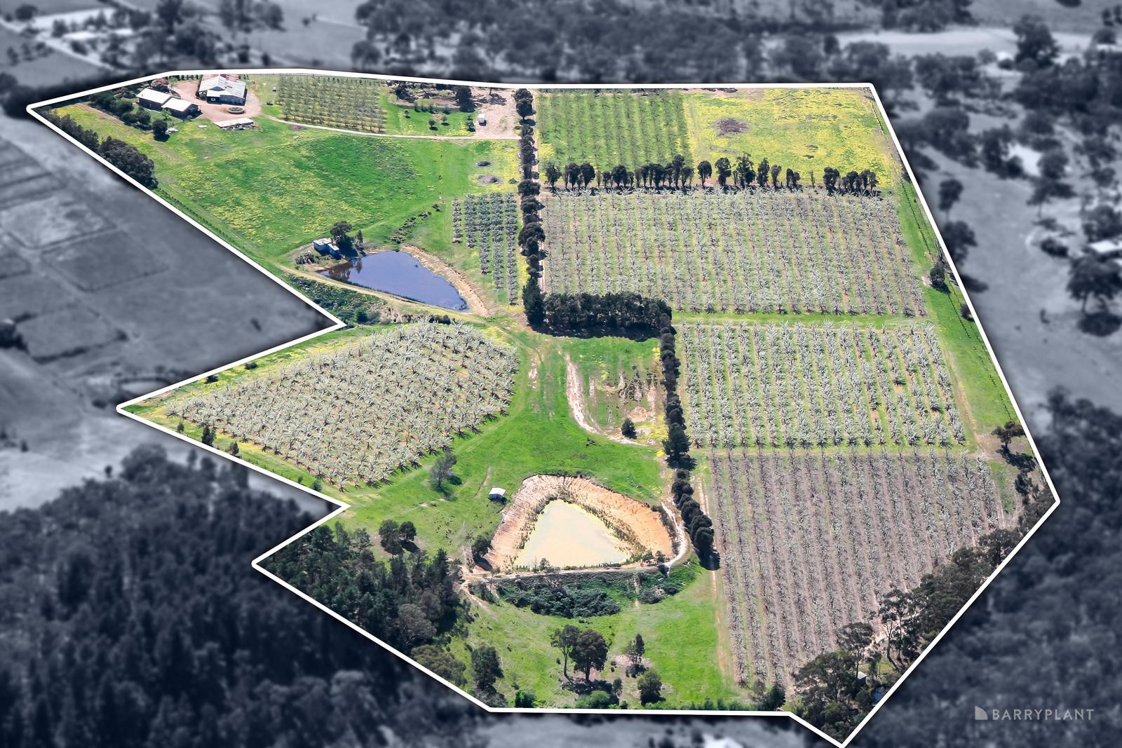 180 Cherry Tree Road, Panton Hill, VIC 3759, Panton Hill - Thumbnail 5