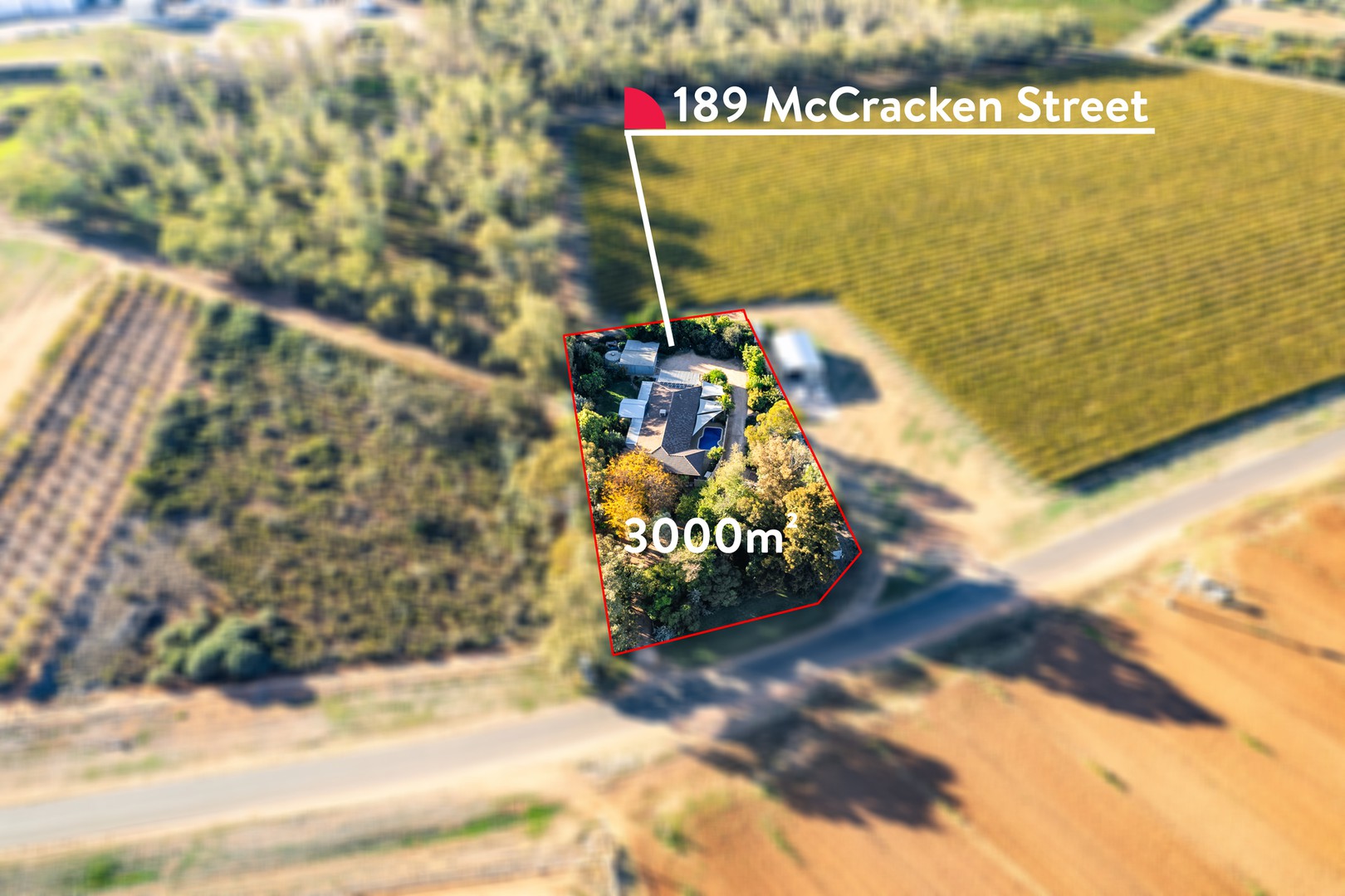 189 McCracken Street, Irymple, VIC 3498, Irymple - Thumbnail 6