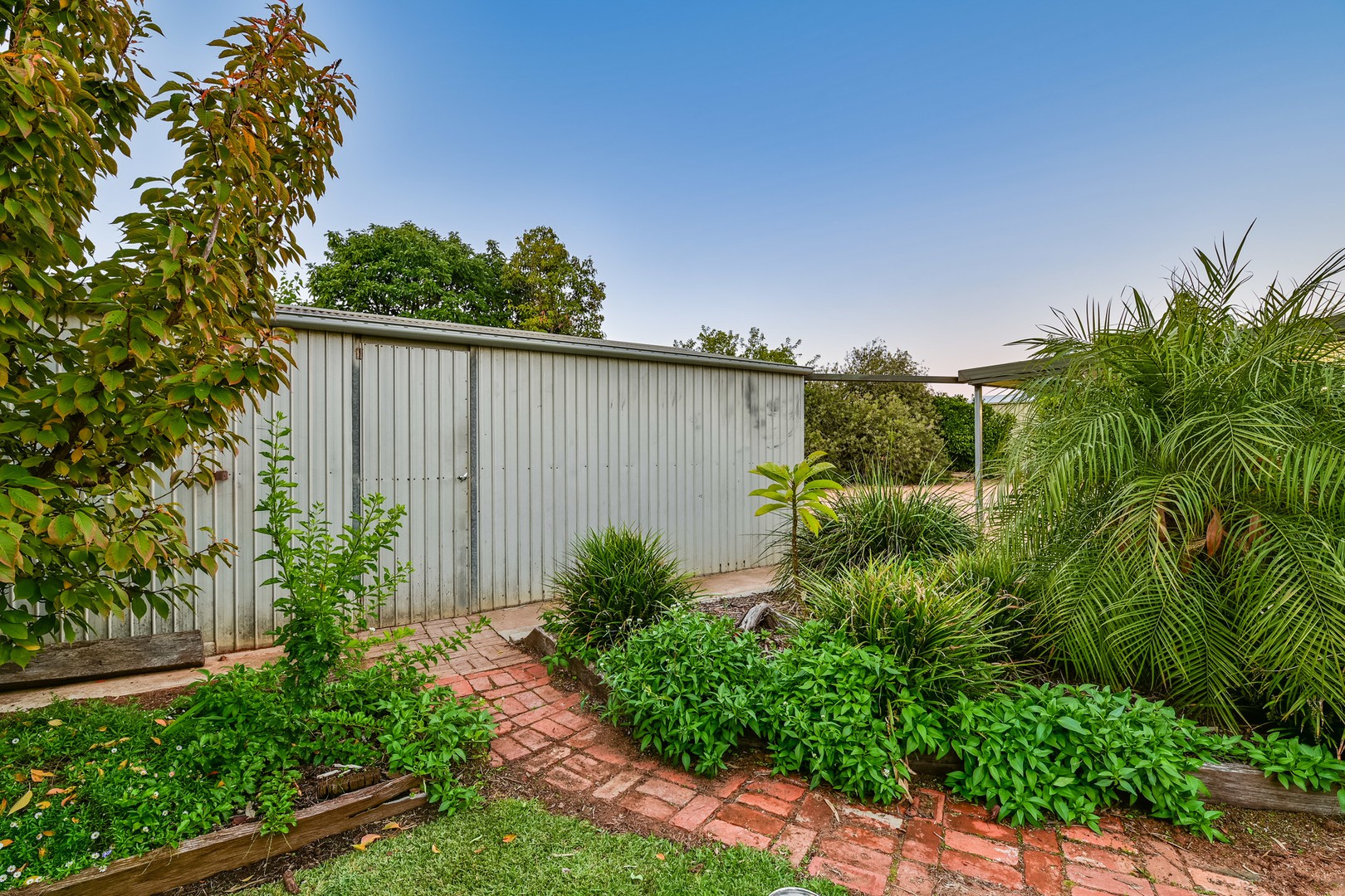 189 McCracken Street, Irymple, VIC 3498, Irymple - Thumbnail 3