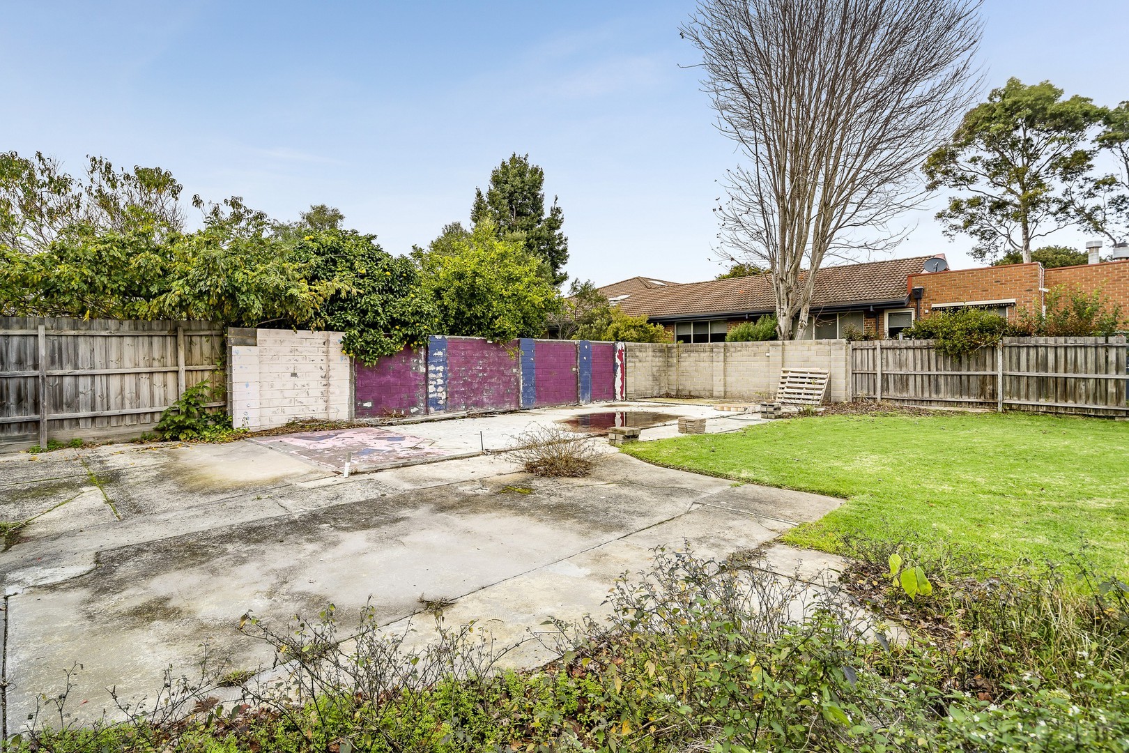 19 Clow Avenue, Upper Ferntree Gully, VIC 3156, Upper Ferntree Gully - Thumbnail 8
