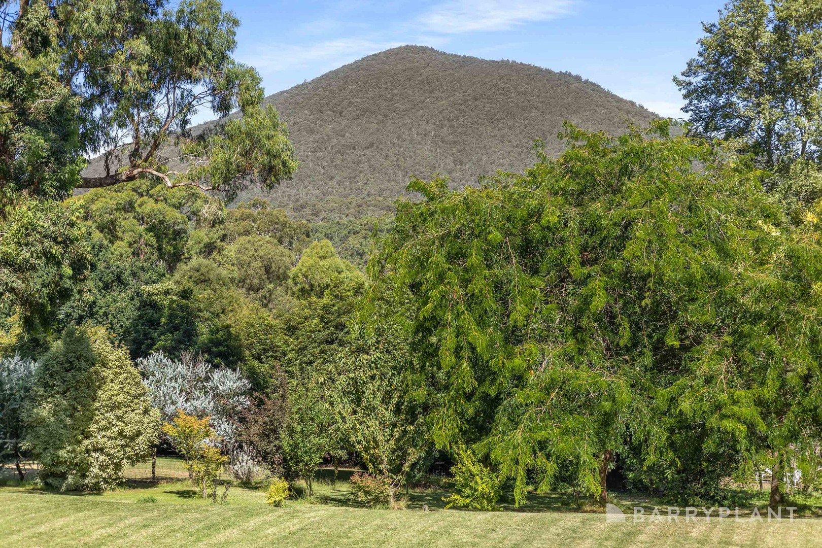19 Graceburn Avenue, Healesville, VIC 3777, Healesville - Thumbnail 4