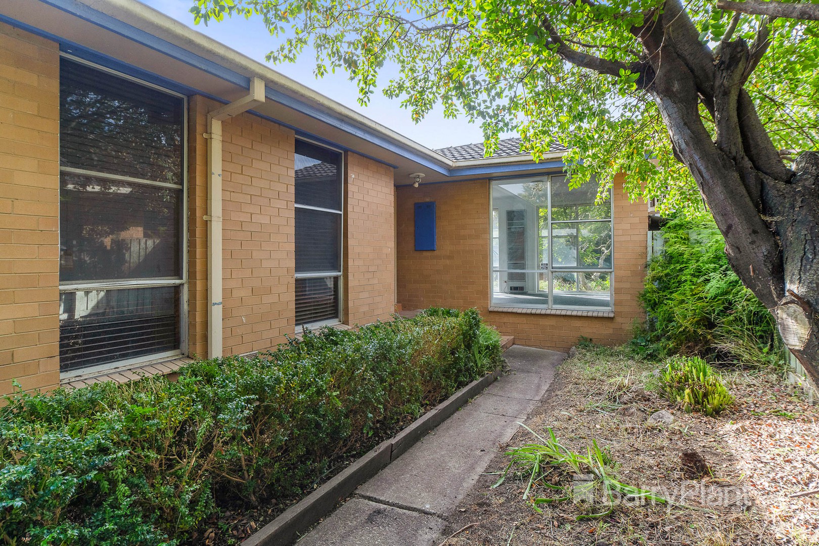 19 Illowa Street, Mornington, VIC 3931, Mornington - Thumbnail 6