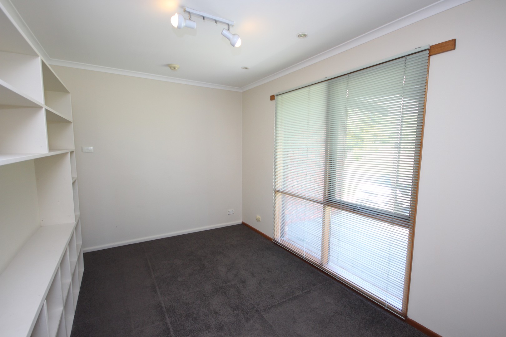 19 Louis Court, Newtown, VIC 3220, Newtown - Thumbnail 5