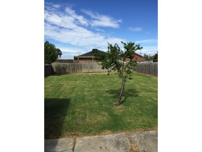 19 Murray Street, St Albans, VIC 3021, St Albans - Thumbnail 5