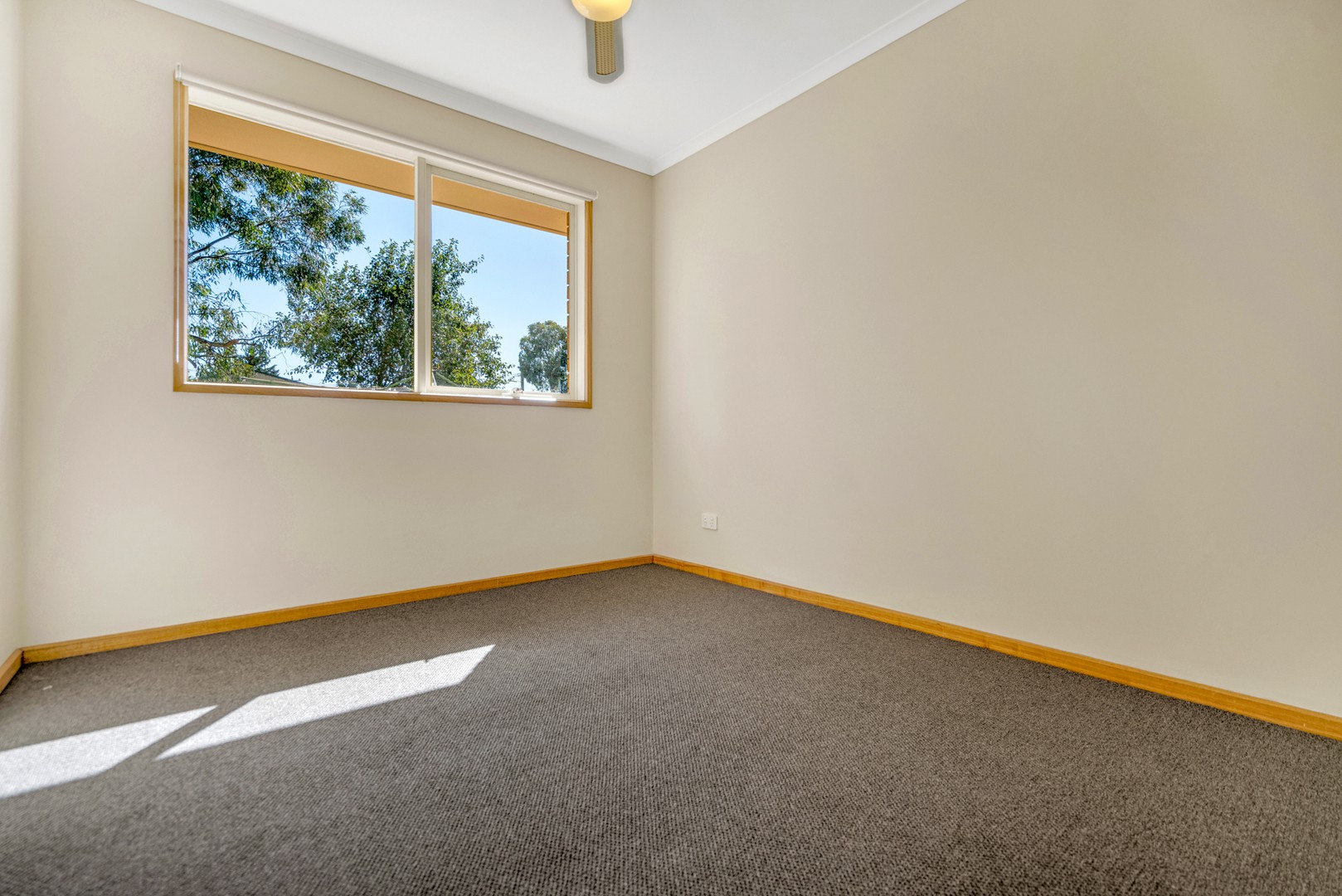 19 Northleigh Avenue, Craigieburn, VIC 3064, Craigieburn - Thumbnail 4