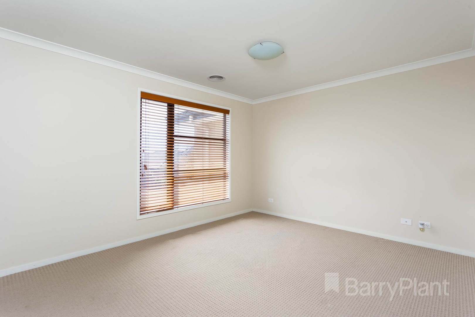 19 Vetiver Avenue, Truganina, VIC 3029, Truganina - Thumbnail 8