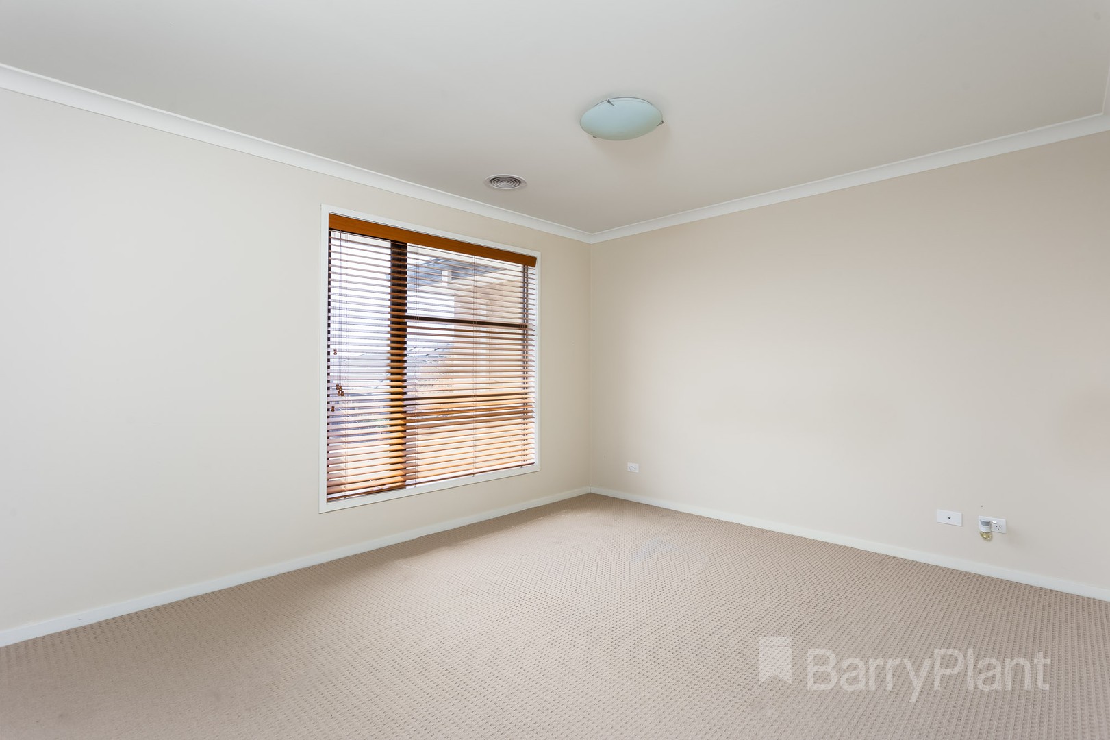 19 Vetiver  Avenue, Truganina, VIC 3029, Truganina - Thumbnail 8