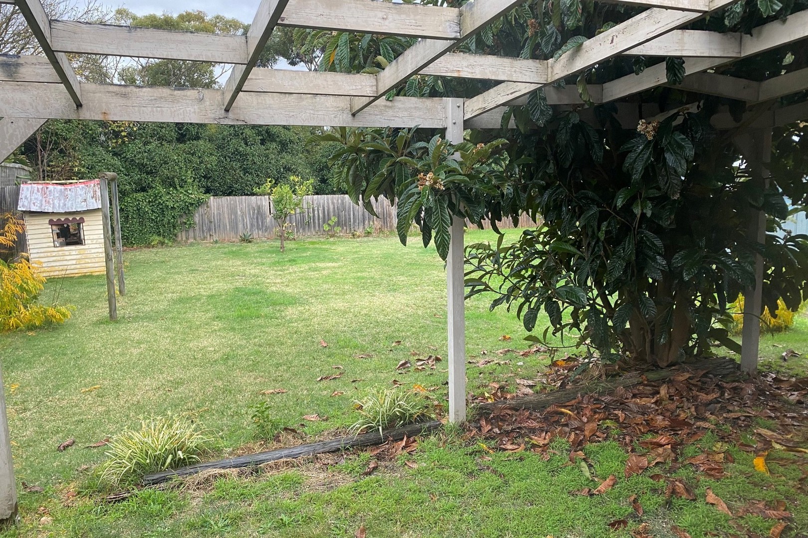 19 White Road, Wantirna South, VIC 3152, Wantirna South - Thumbnail 6